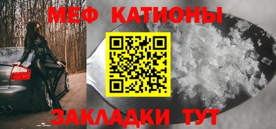 прущие грибы Будённовск