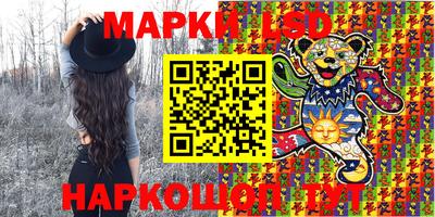 прущие грибы Будённовск