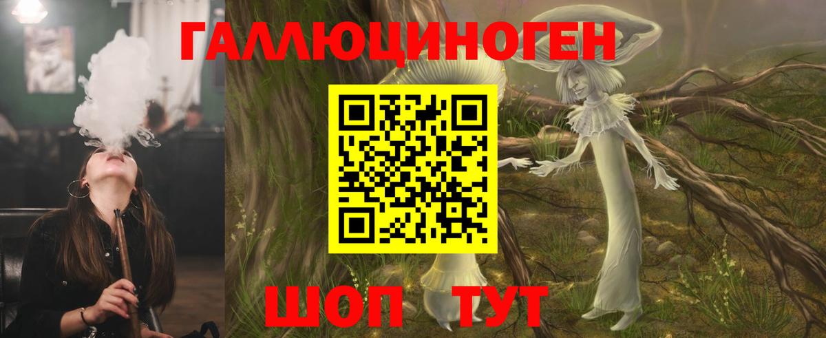 Псилоцибиновые грибы Psilocybe  Вход с VPN  Грязи 