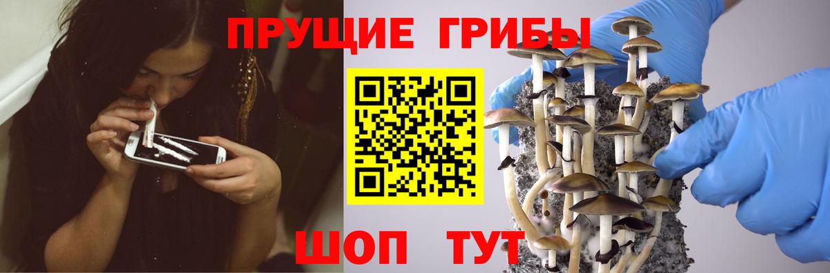 Грязи  ГАШИШ  Бошки Шишки  Меф МЯУ МЯУ кристаллы  Кокаин  Вход с VPN  ГАШ 