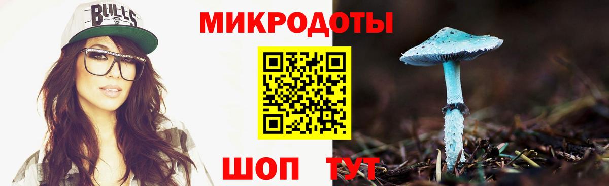 Псилоцибиновые грибы мицелий Грязи